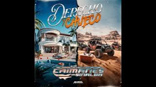 derecho y chueco - Los caimanes de Sinaloa