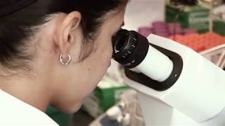 Year 9 Choices - Science (Triple Award)