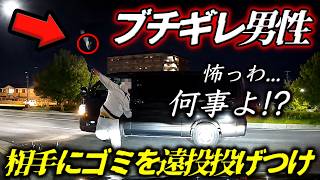 【メシウマ御用】ネズミ捕り現場の目の前をレクサスRXが強行追い越し！速度測定員の前で一発検挙の瞬間／東名バス停を悪用してごぼう抜きするレクサス／キャラバン助手席から男性が飛び出し他車へ物体投げつけ！