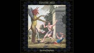 Tantric Bile - Seminal Baptism (Full Album) (2021 - Avant-garde Jazzgrind / Experimental)