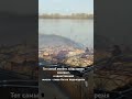 #майскиепраздники #блогер #релакс #шашлычки #шашлык