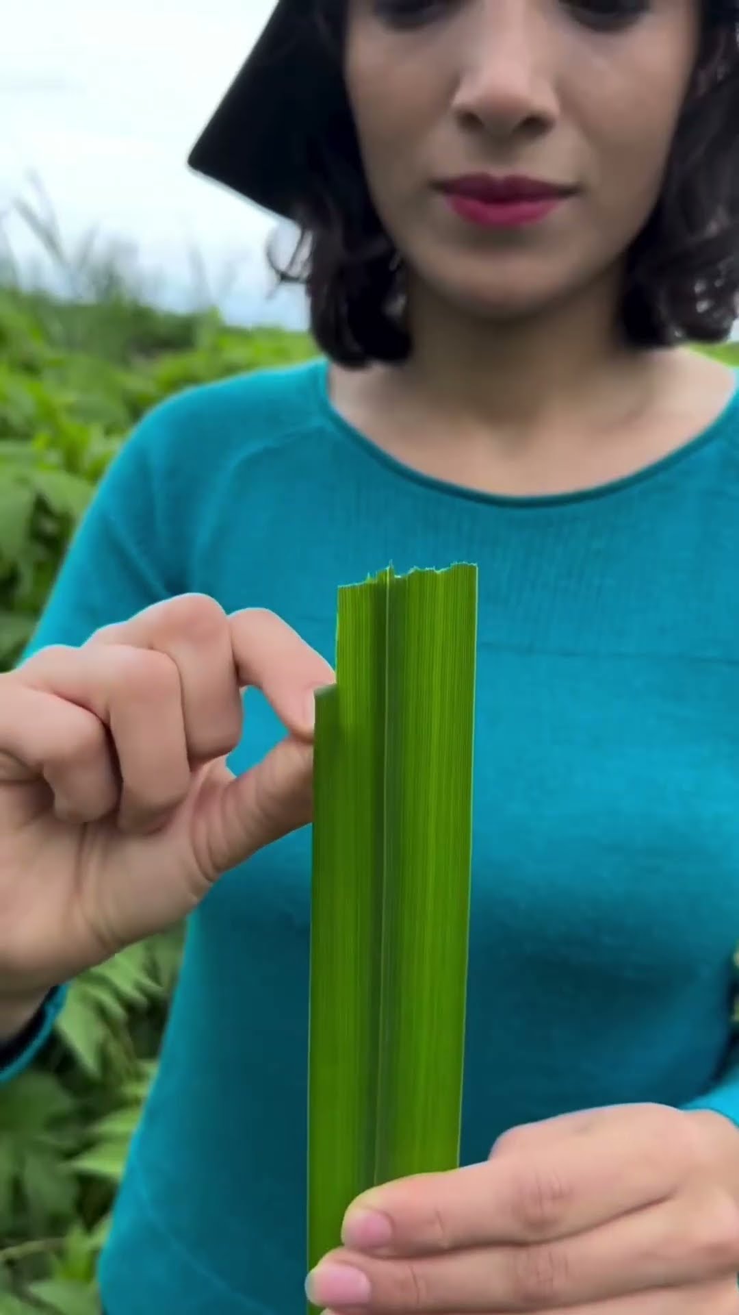 this toy made from wild tree leaves #shortsvideo