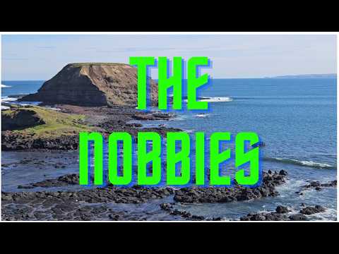 The Nobbies and Seal Rocks