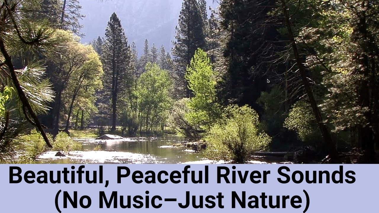 Peaceful River Flowing Sound | Gentle River, Relaxing Nature Sounds| White Noise for Sleep, Study