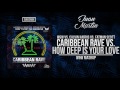 Caribbean Rave Vs How Deep Is Your Love Vs Don T Stop The Madness W W Mashup mp3