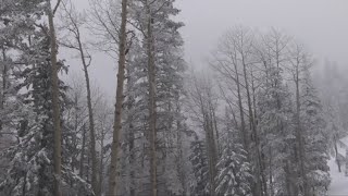 Rain, sleet, snow and wind whip thorugh Flagstaff