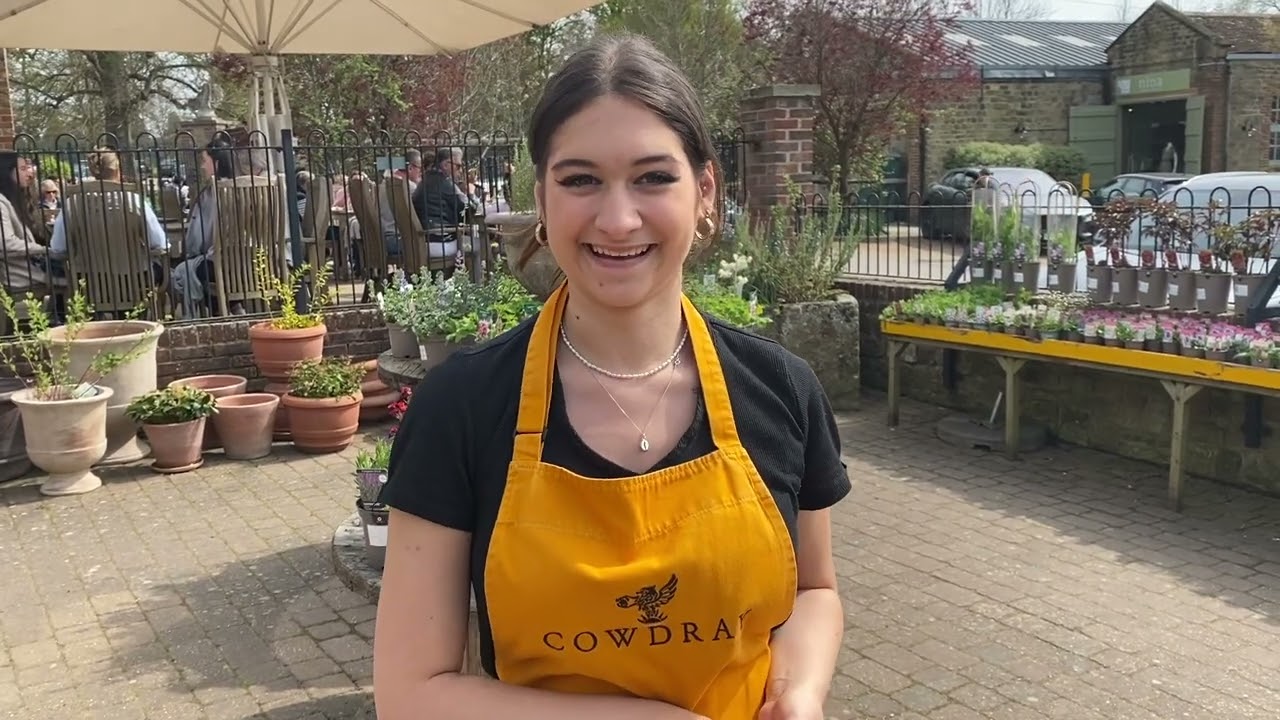 Southdowns Cowdray Farm, London and Shimla, India