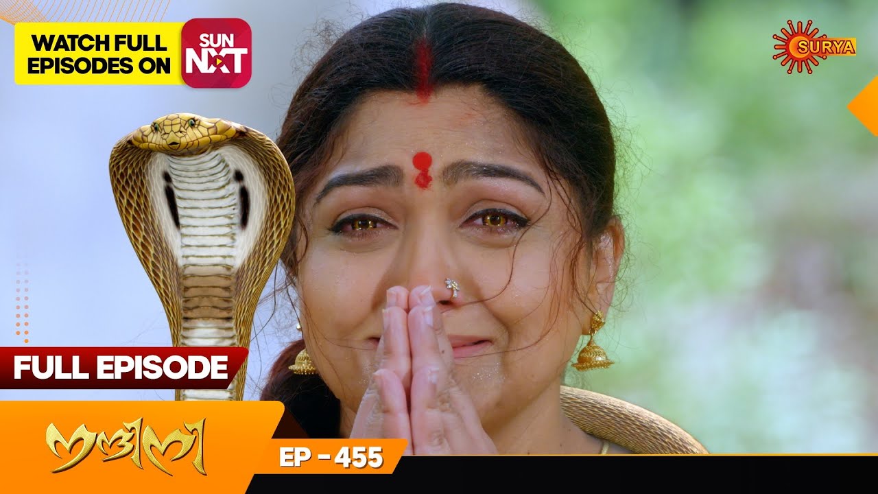 Nandini - Episode 455 | Digital Re-release | Surya TV Serial | Super Hit Malayalam Serial