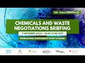 Chemicals and waste negotiations briefing