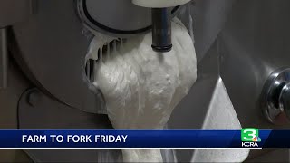 Davis ice cream shop puts twist on favorite flavors