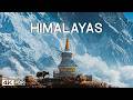 HIMALAYAS: The Land of Silence | Cinematic 4K Film 4K