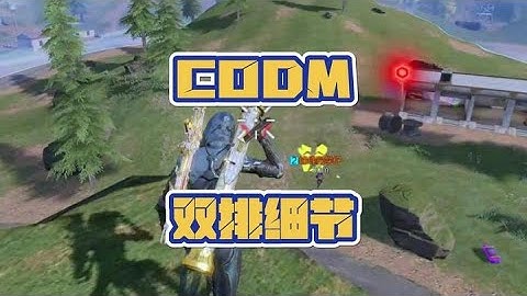 使命召唤手游：铁汁萌，你们是喜欢看整体思路，还是对掏的时候的思路，还有单排双排啥的 #CODM #使命召唤手游 #李不清丶