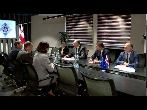 შეხვედრა  ჟენევის საერთაშორისო დისკუსიების თანათავმჯდომარესთან