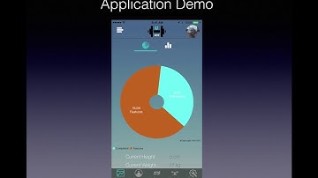 Final Presentation, CSE 335, Arizona State University