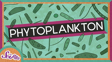 Microscopic Life in a Drop of Water! | Phytoplankton | Amazing Animals | SciShow Kids