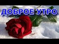 ПОЖЕЛАНИЕ ДОБРОГО УТРА! ДОБРОЕ УТРО!