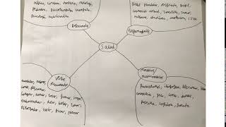 Mapa Conceptual Salud