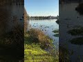 Доброго раночку🥰🥰🥰 #природа #шортс