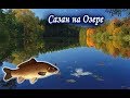 Сазан на Озере. Русская Рыбалка 3.99.