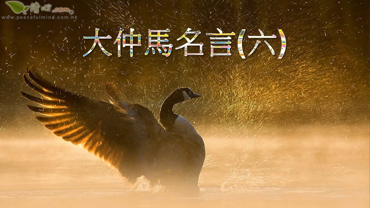 大仲馬名言六 Youtube