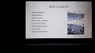 Understand NDVI