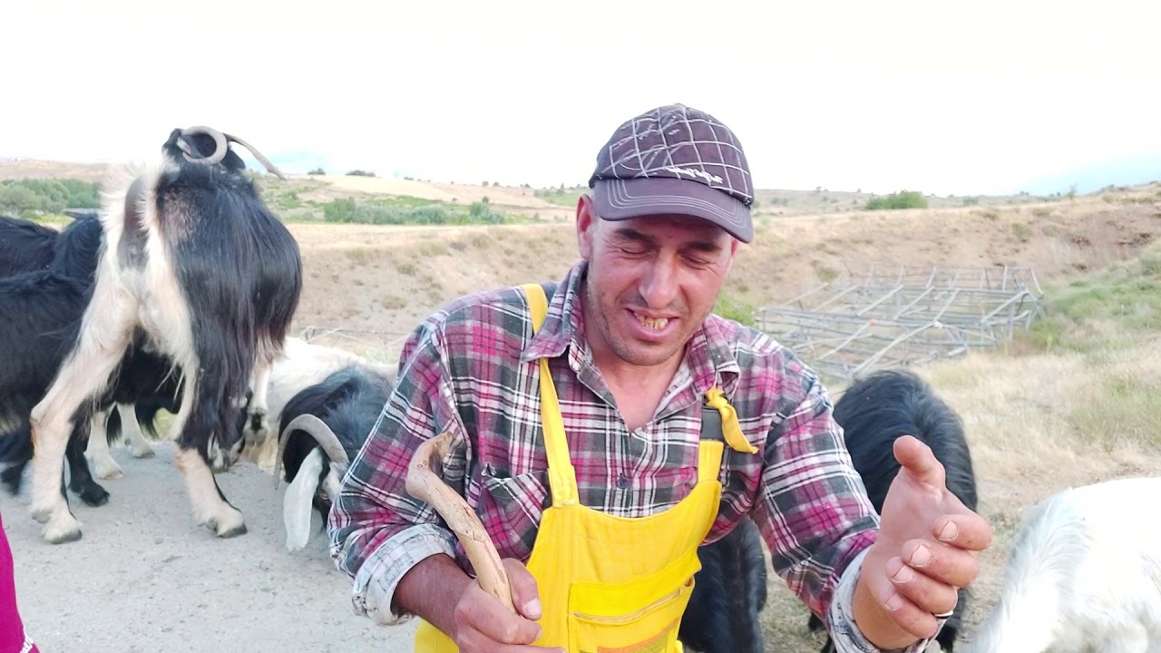 FINDIK KÖYÜ ERDAL ÇELEBİ