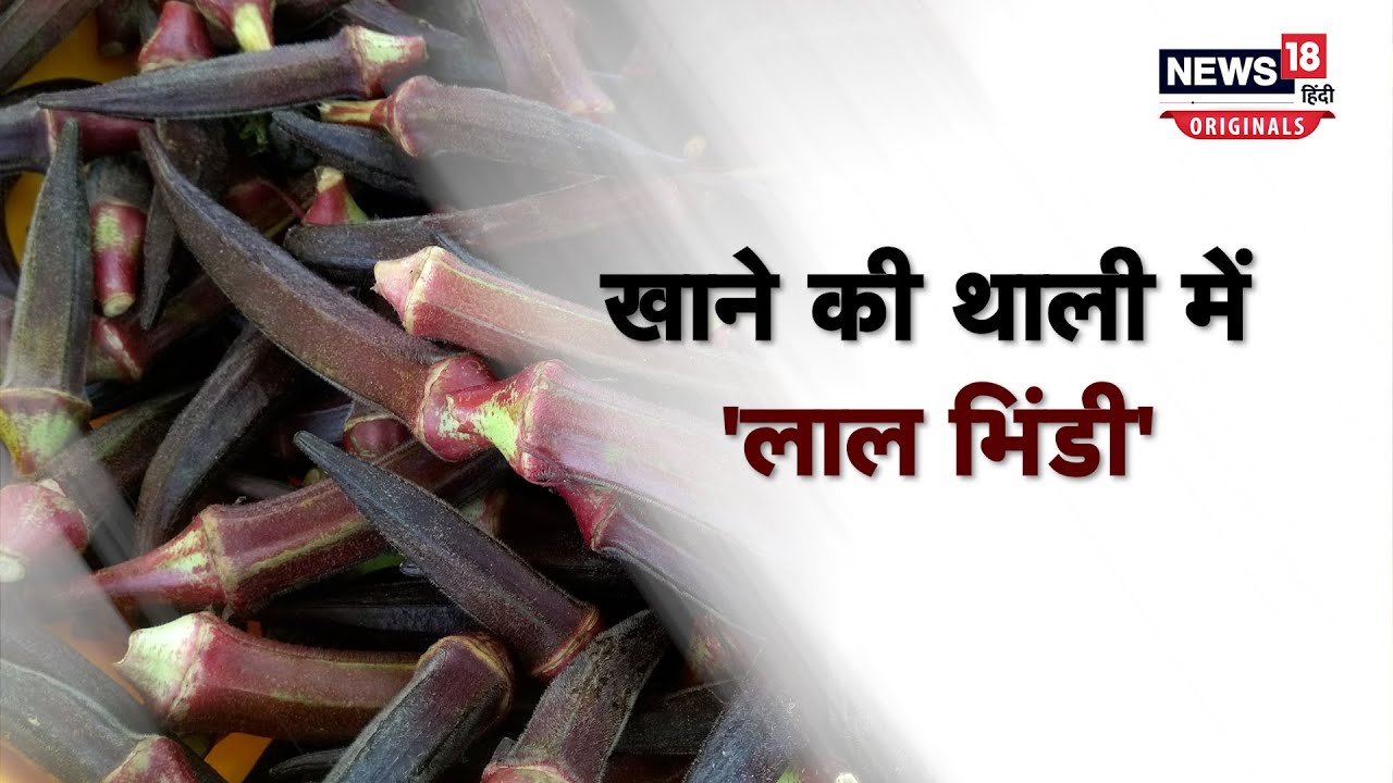 Red lady Finger खाने की थाली में 'लाल भिंडी'! YouTube