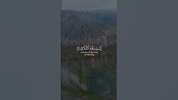 فادعوا الله مخلصين له الدين ولو كره الكافرون | الآية 14 من سورة غافر #القرآن_الكريم #سورة_غافر
