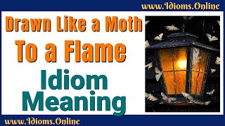 Drawn Like a Moth to a Flame Meaning | English Idioms & Phrases