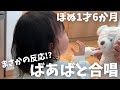 おねだり連発!「きらきらぼし」の無限ループで大爆笑!? (Ponu loves singing with grandma!)