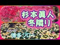 『杉本眞人』冬隣  Cover博多ジロー
