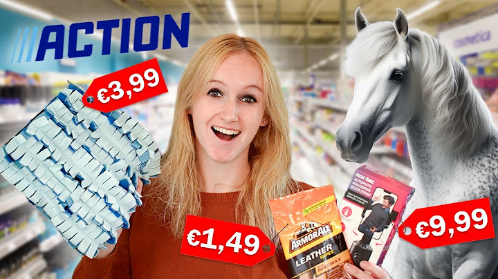 Goedkope PAARDENSPULLEN van de ACTION testen! 😱🐴
