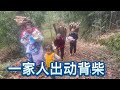 英子夫妻和爸妈小孩都一起出动去柴火，小苹果就是大家开心果