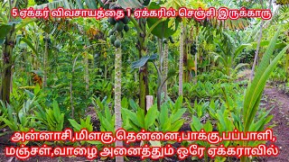 அன்னாசி,மிளகு,தென்னை,பாக்கு,பப்பாளி,மஞ்சள்,வாழை அனைத்தும் ஒரே ஏக்கராவில் | pv naturals