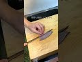 アジを捌く　#料理 #魚