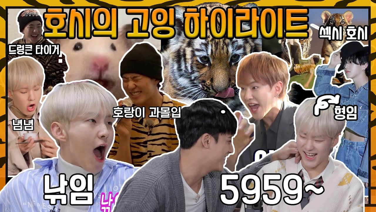 [세븐틴/호시] 호랑이🐯 과몰입 호시의 고잉 하이라이트 모음🗂 (※귀여움 주의, 열쩡 주의, 섹시함 주의※)