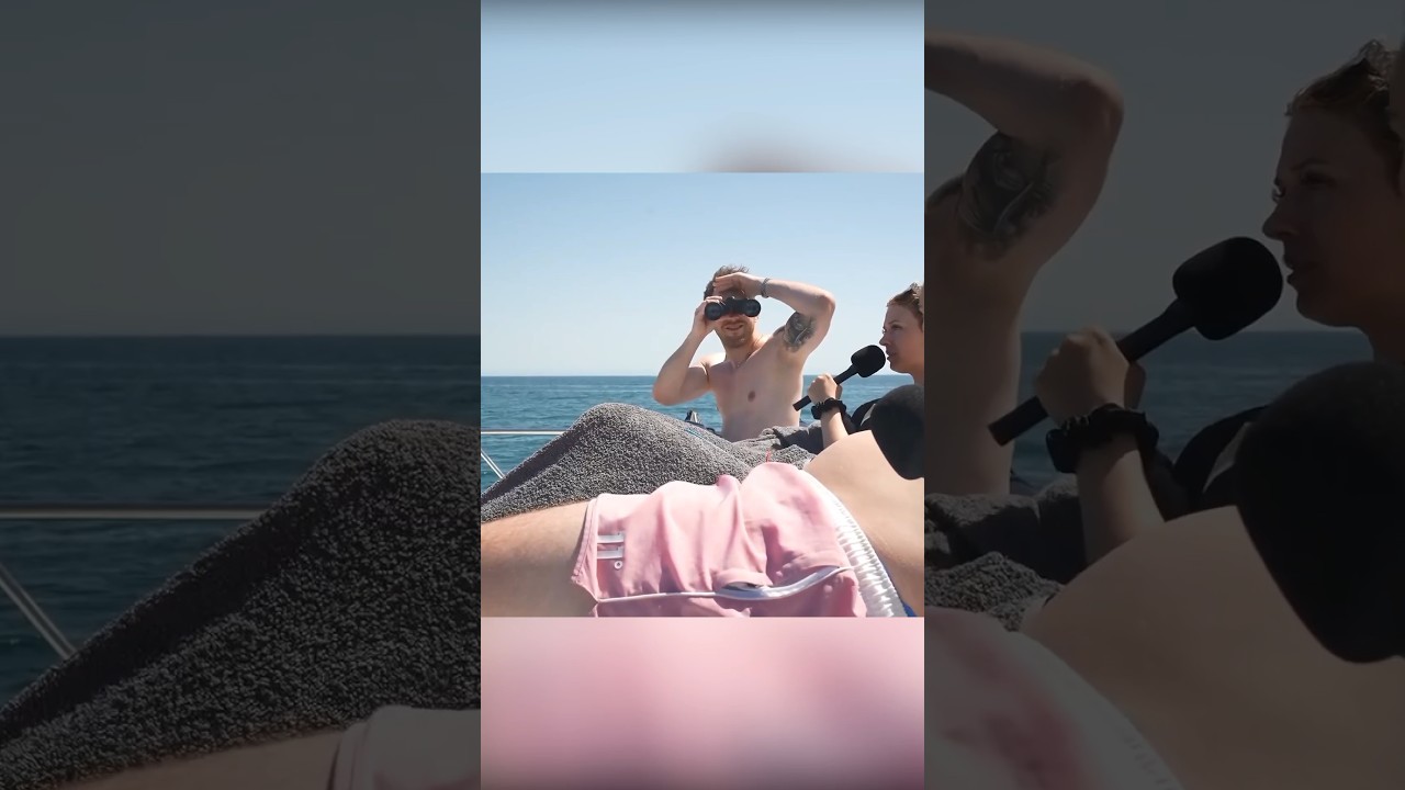 UIII MEMO GUCK MAL DA! 😂 