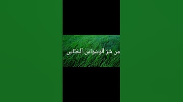 #القرآن_الكريم #تلاوة_خاشعة #المنشاوي #القرآن