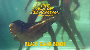 Janelle Monáe - Black Sugar Beach [Official Aduio]