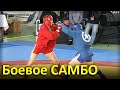 2017 Боевое САМБО ВАСИЛЕВСКИЙ - САИДОВ -90 кг полуфинал чемпионат России