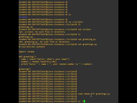 Debugging Python Scripts