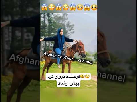   فرخنده پرواز کرد پیش ارشاد