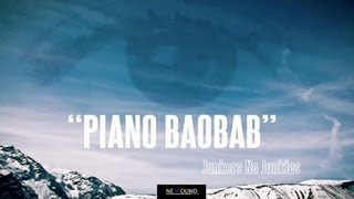 Junkers No Junkies  - Piano Baobab