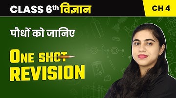 पौधों को जानिए (Getting to Know Plants) - One Shot Revision | Class 6 Science Chapter 4