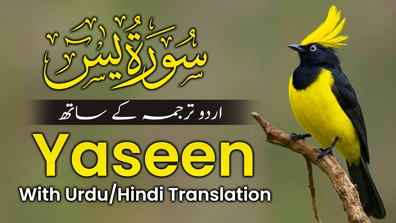Surah Yasin With Urdu Translation | Hindi Tarjuma | Surat Yaseen Full | Ramadan Quran | Ep-01