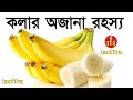 কলার অজানা রহস্য | Interesting banana facts  | অজানা তথ্য ও রহস্য | factTrx #shorts | অজানা রহস্য