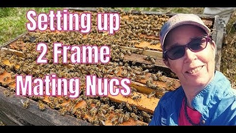 ☯️ Setting Up 2 Frame Mating Nucs : Increase your Apiary #queenrearing