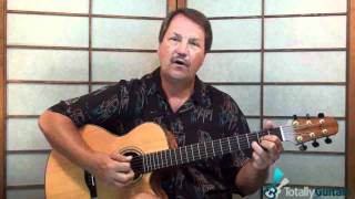 Mamas Don't Let Your Babies Grow Up To Be Cowboys - Guitar Lesson Preview - Willie Nelson chords