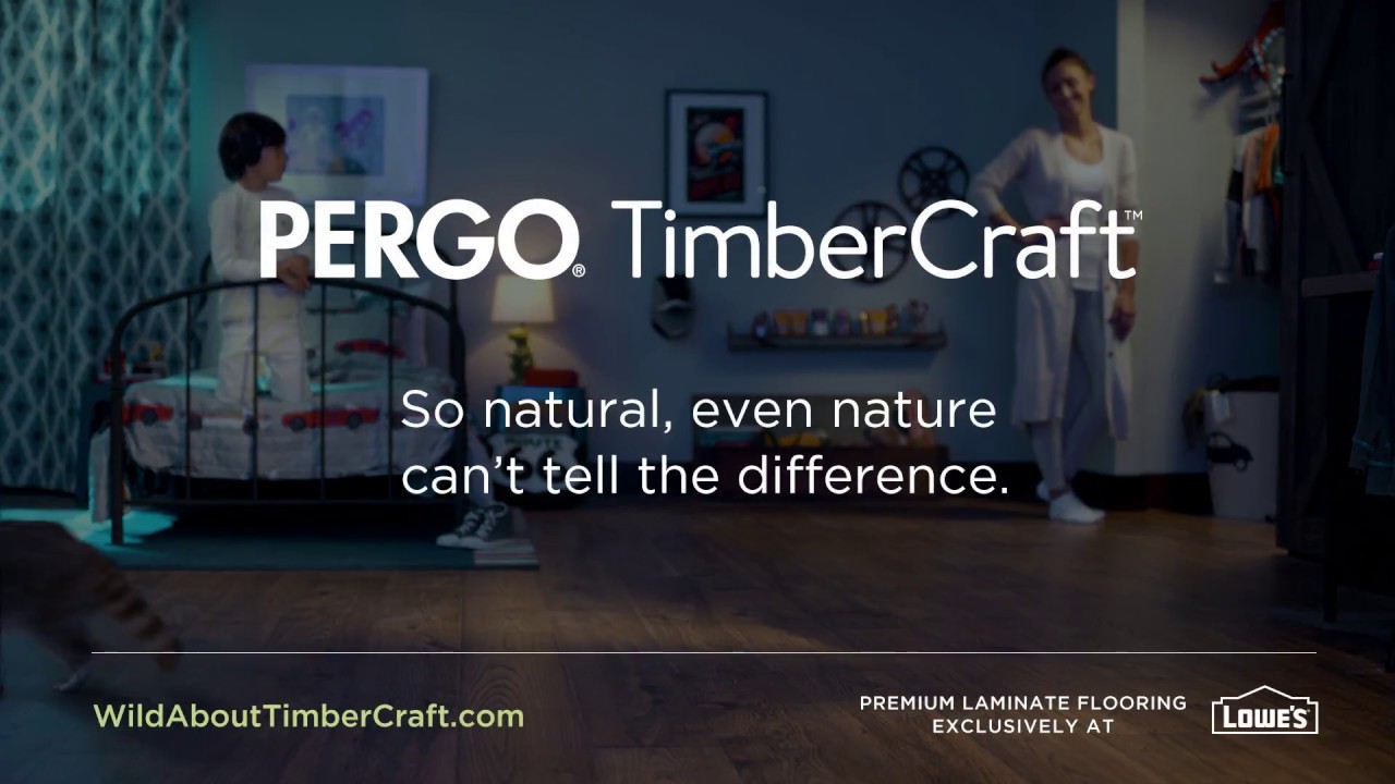 Pergo TimberCraft Presents: Wild House Guests - Raccoon - YouTube