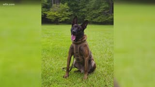 Prosperity man charged in fatal shooting of K9